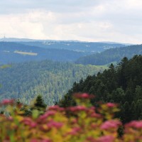 Le Jura actuel Franco-Suisse - Album photo du Paysan-horloger