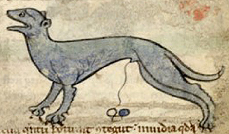 Lynxurius_in_medieval_bestiary