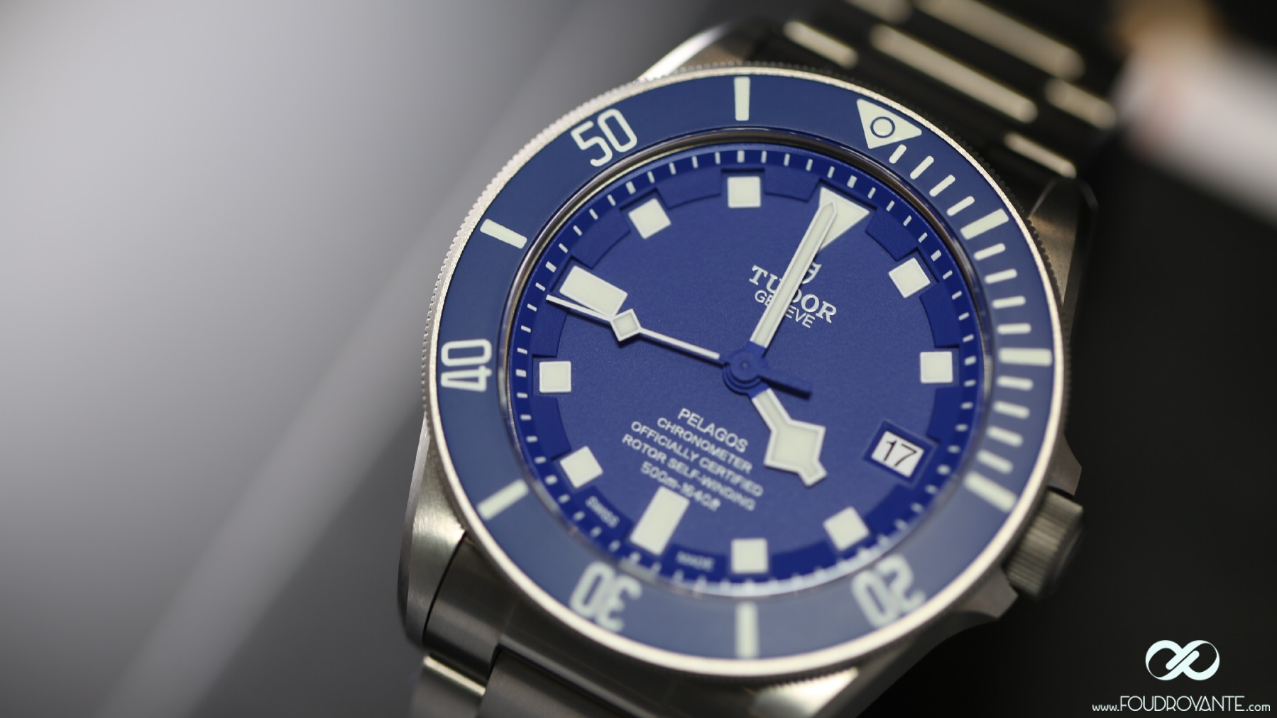 Pelagos Bleu (2)