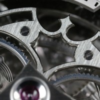 Rudis Sylva RS12
