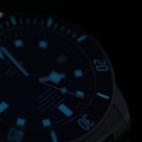 Blue Tudor Pelagos