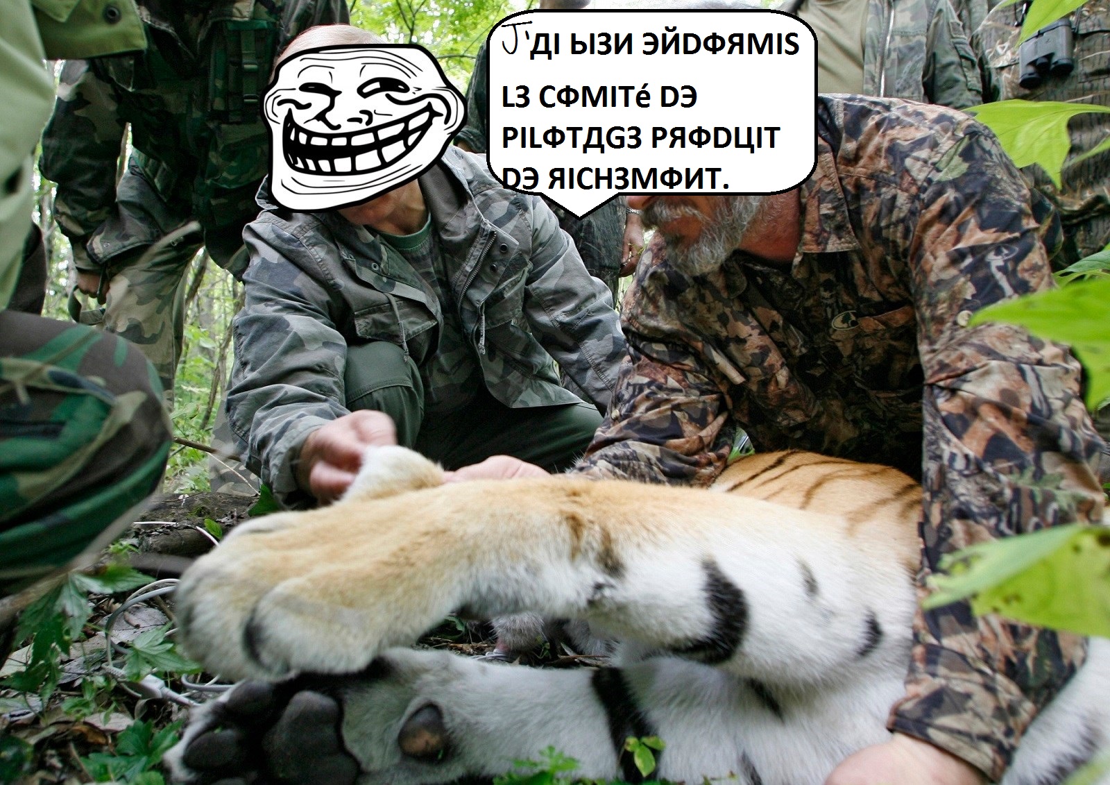 Vlad Poutine Tigre + Texte