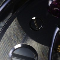 Philippe Dufour Simplicity ultra macro shot