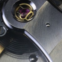 Philippe Dufour Simplicity ultra macro shot