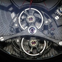 Rudis Sylva RS14